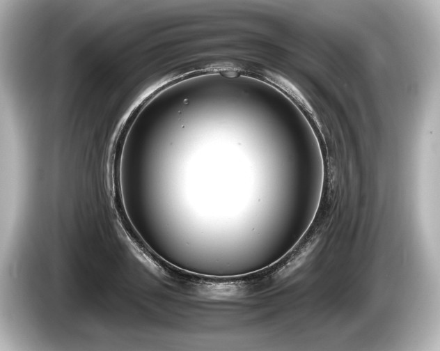 X0000085730843200703161004