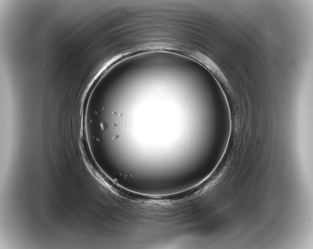 X0000085730844200703161004