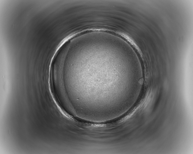 X0000085730845200703161004