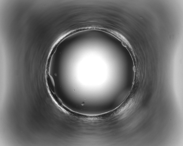 X0000085730847200703161004