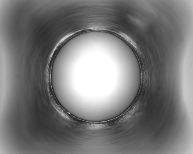 X0000085730848200703161004