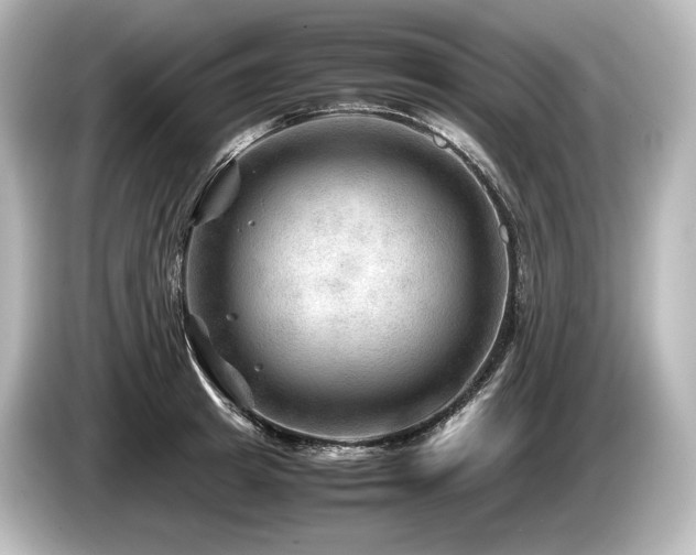 X0000085730849200703161004