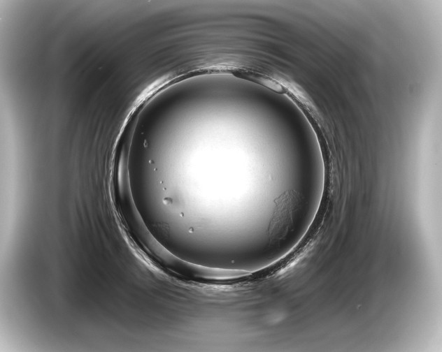 X0000085730850200703161004