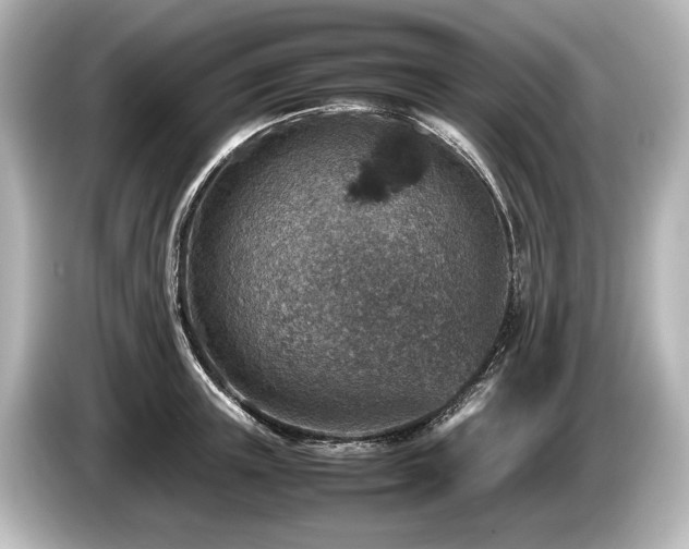 X0000085730851200703161004