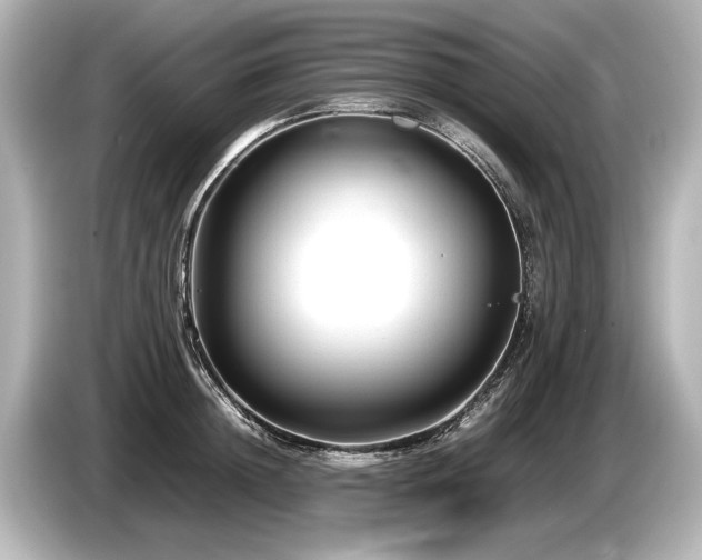 X0000085730852200703161004