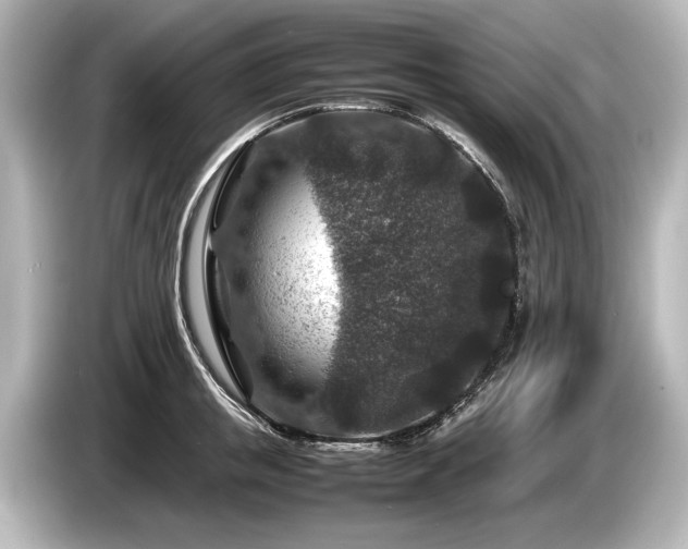 X0000085730853200703161004