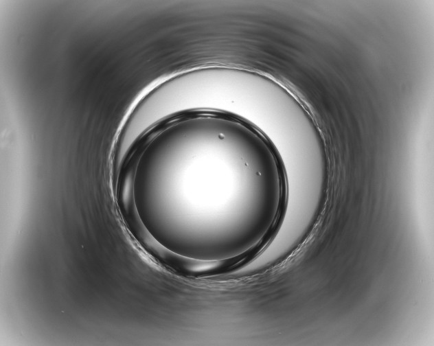 X0000085730854200703161004