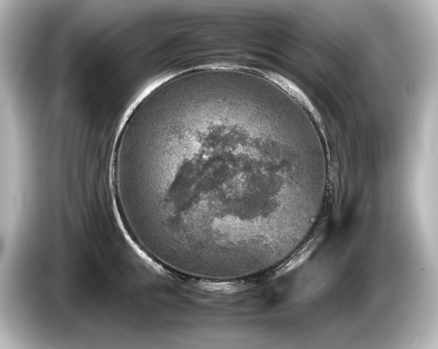 X0000085730855200703161004