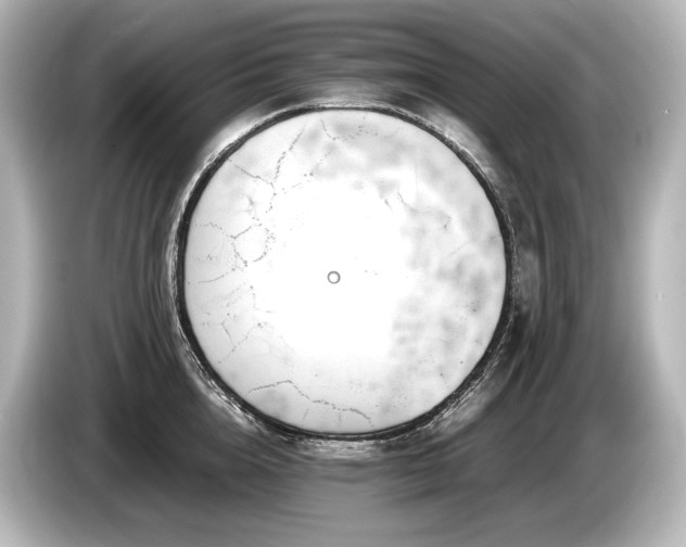 X0000085730856200703161004