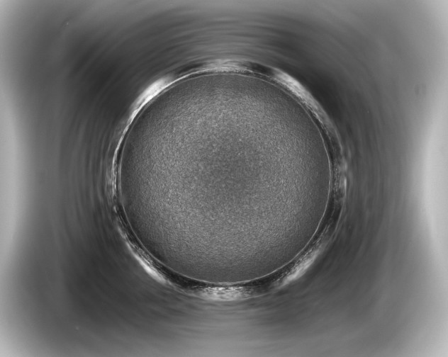 X0000085730858200703161004