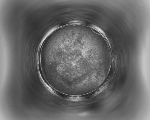 X0000085730859200703161004