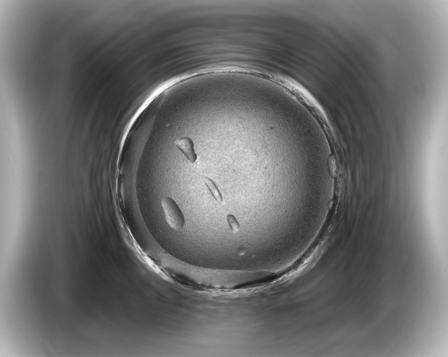 X0000085730860200703161004