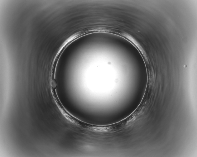 X0000085730861200703161004