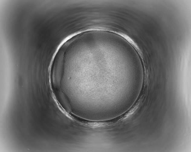 X0000085730862200703161004