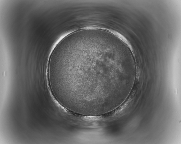 X0000085730863200703161004