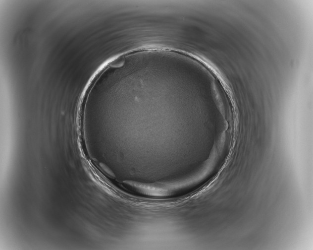 X0000085730864200703161004