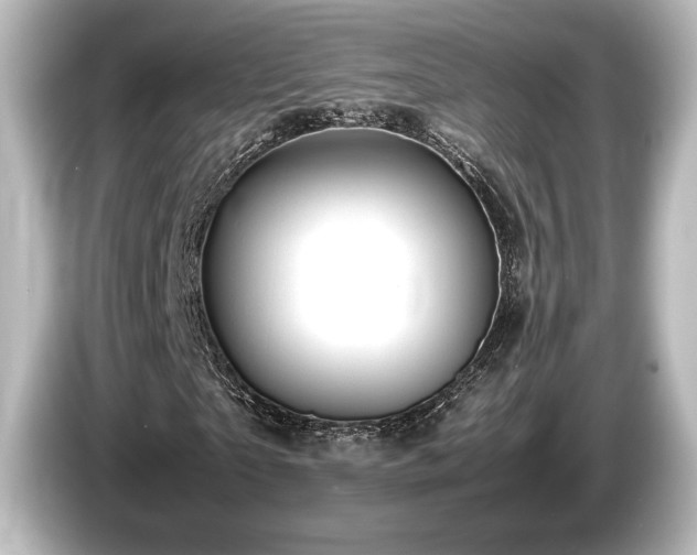 X0000085730865200703161003