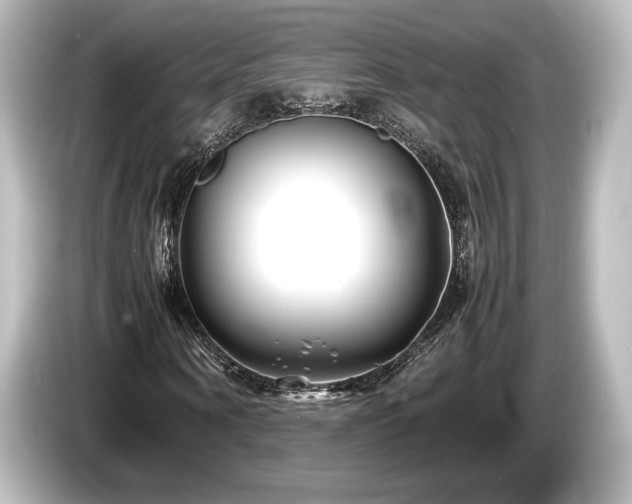 X0000085730866200703161003