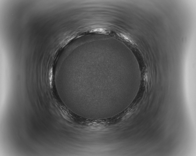 X0000085730868200703161003