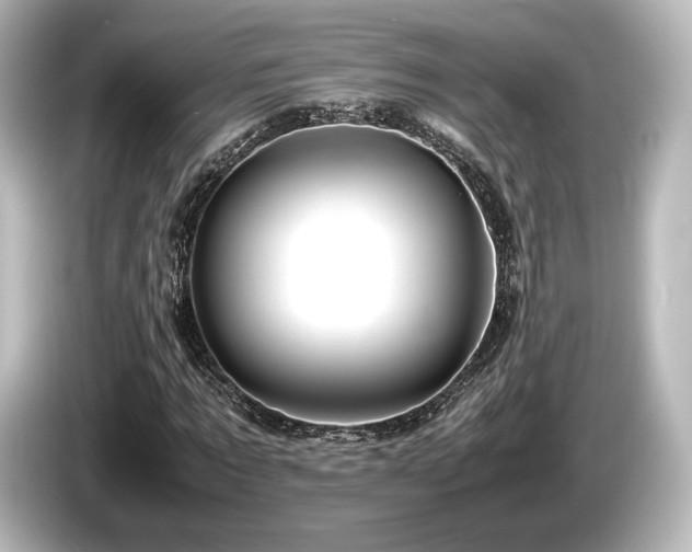 X0000085730869200703161003