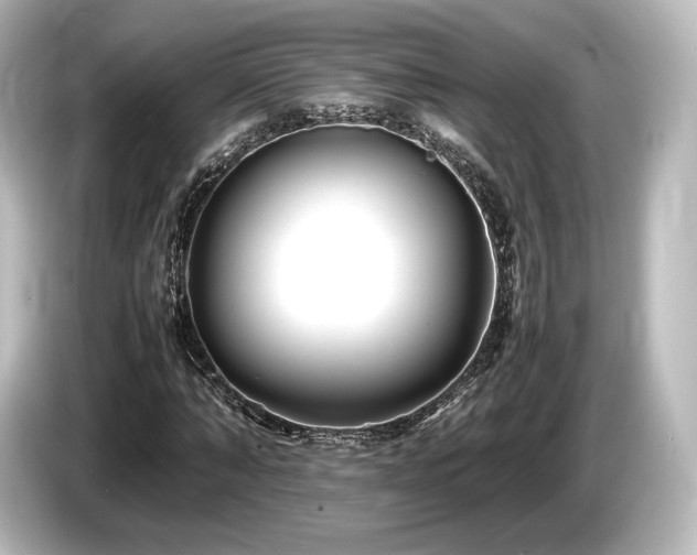 X0000085730870200703161003