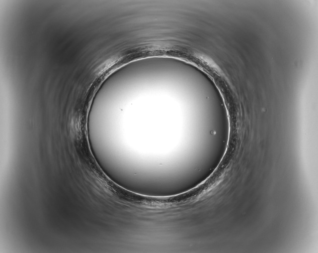 X0000085730873200703161003