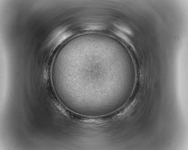 X0000085730874200703161003