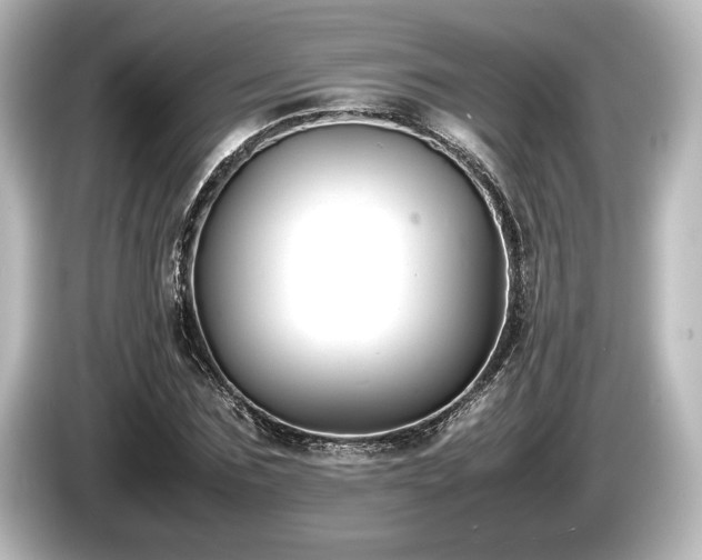 X0000085730875200703161003