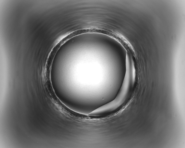 X0000085730876200703161003