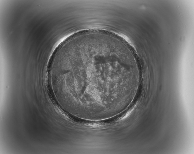 X0000085730879200703161003