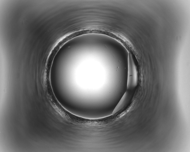 X0000085730880200703161003