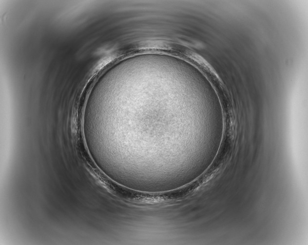 X0000085730882200703161003