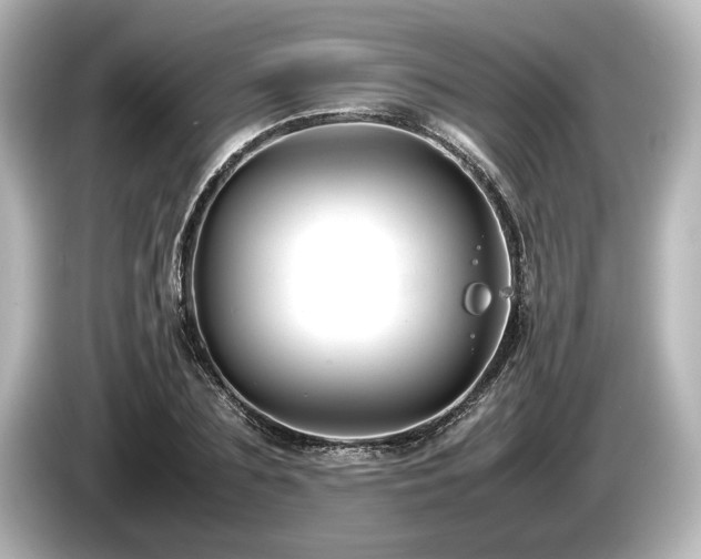 X0000085730883200703161003