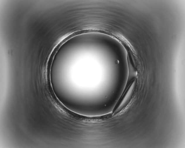 X0000085730884200703161003