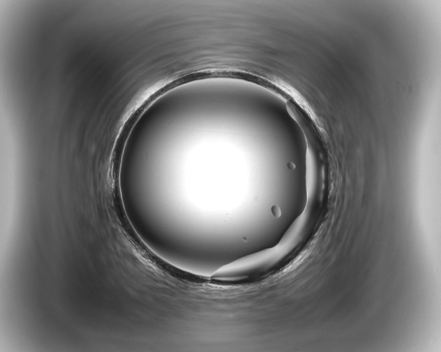 X0000085730885200703161003