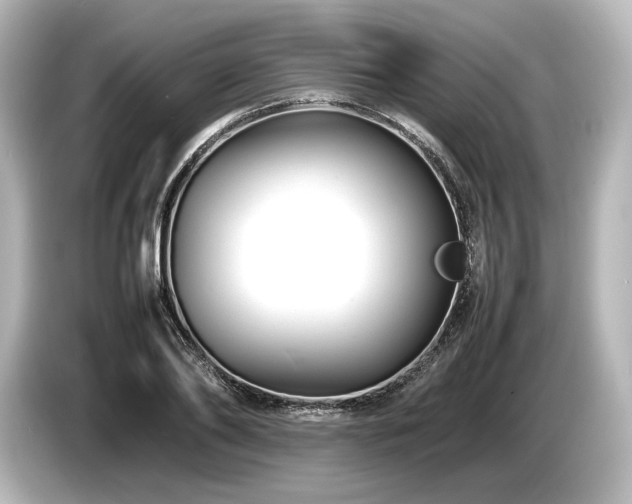 X0000085730886200703161003