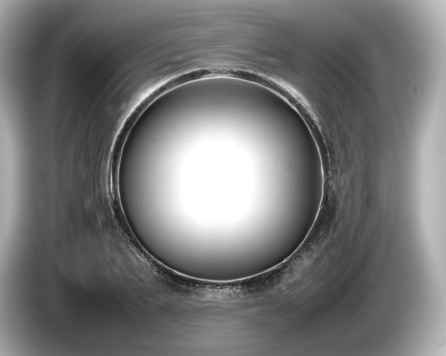 X0000085730887200703161003