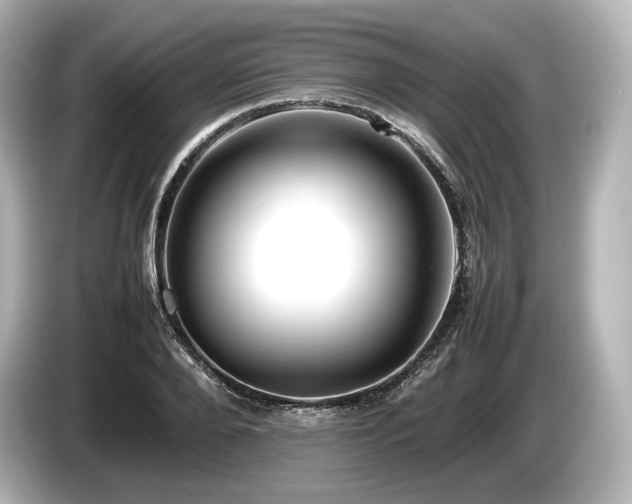 X0000085730888200703161003