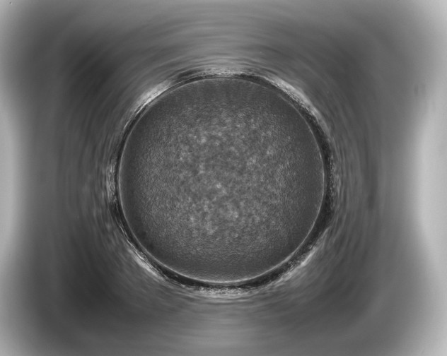 X0000085730889200703161003