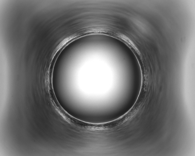 X0000085730890200703161003