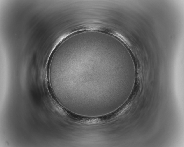 X0000085730891200703161003