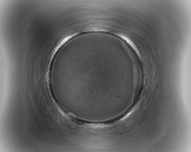 X0000085730893200703161003