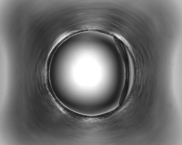 X0000085730894200703161003