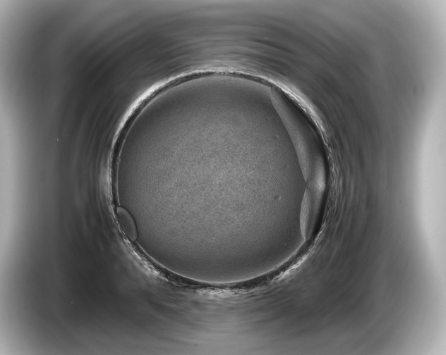 X0000085730896200703161003