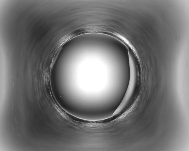 X0000085730897200703161003