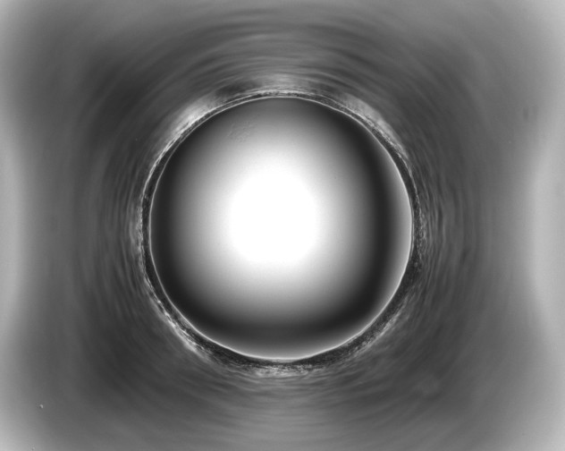 X0000085730898200703161003