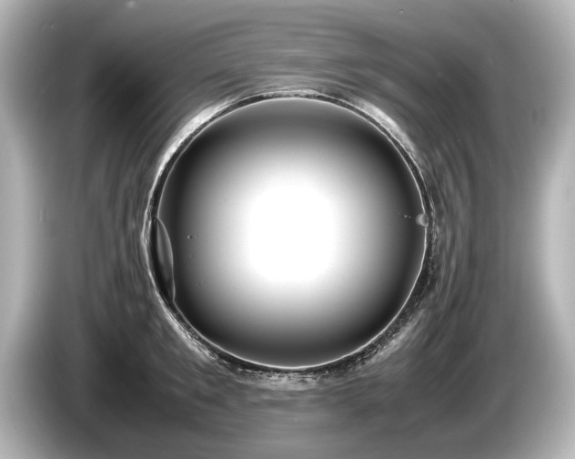 X0000085730901200703161003