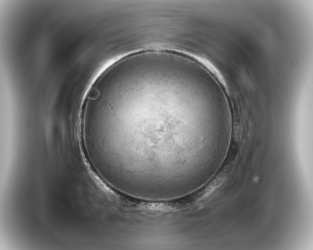 X0000085730903200703161003