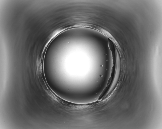 X0000085730908200703161003