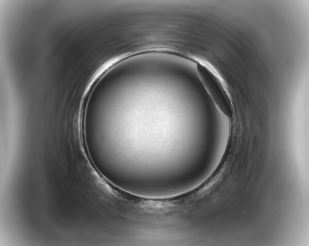 X0000085730910200703161003